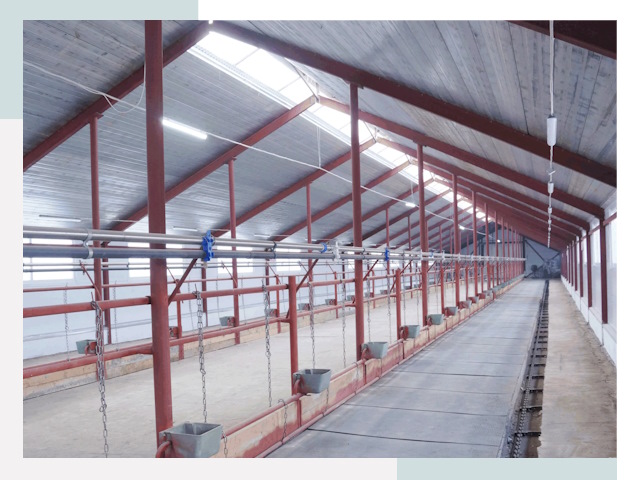 Строительство коровников в Нягани от 611 руб.