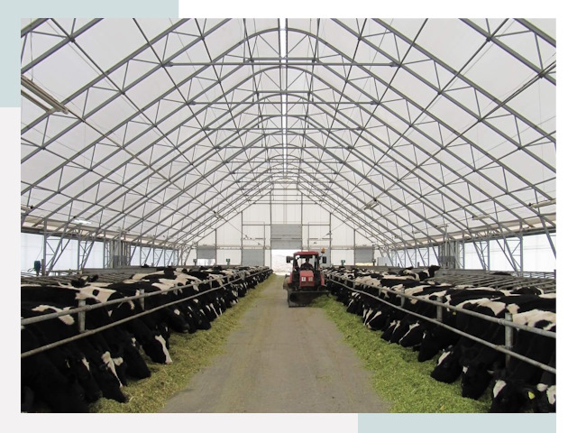 Тентовые коровники в Нягани от 611 руб. - Надежно и доступно